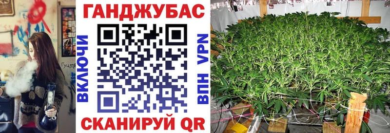 как найти закладки Мураши Бошки марихуана конопля